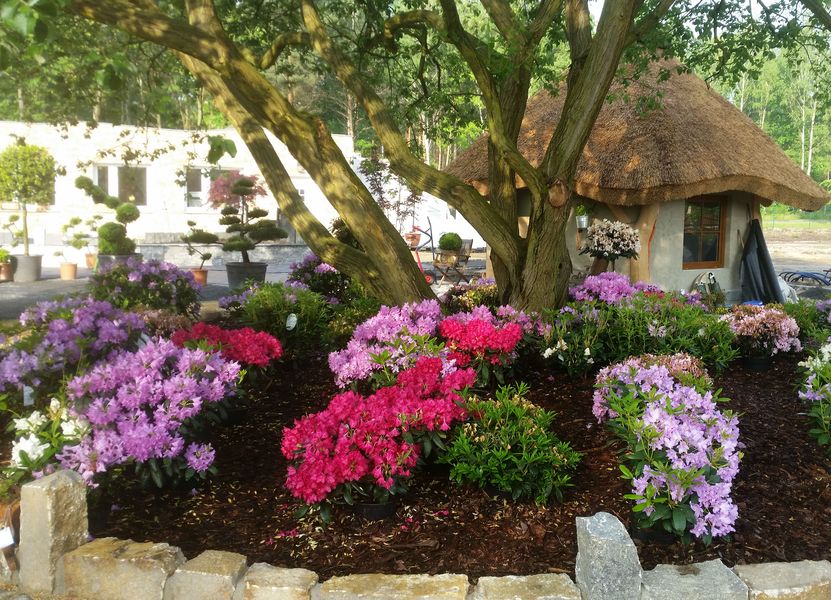 Gartencenter GartenEdenNoack.de